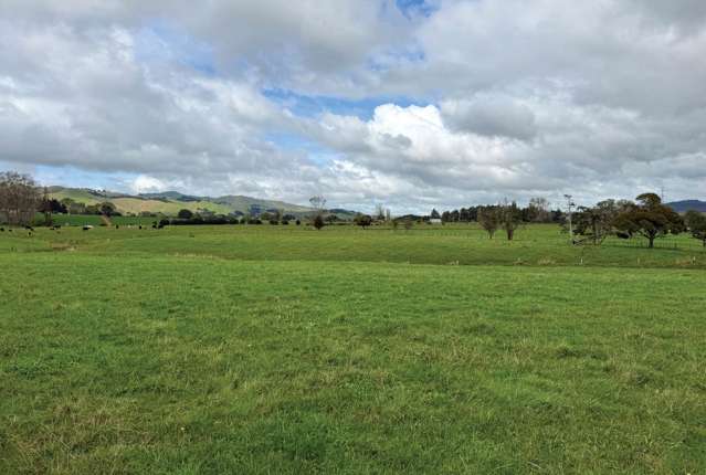811 Taniwha Road Waerenga_1