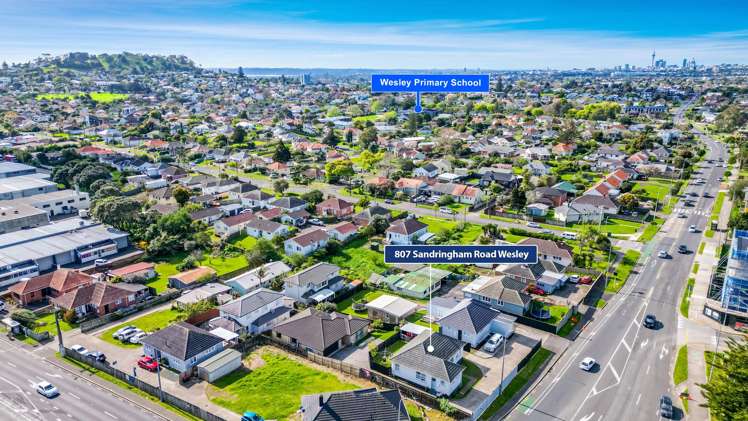 807 Sandringham Road Extension Mount Roskill_14