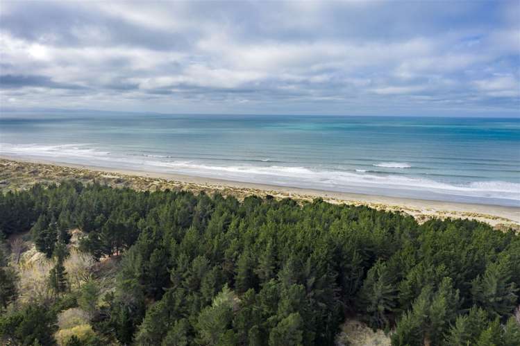 7 Monks Parade The Pines Beach_24