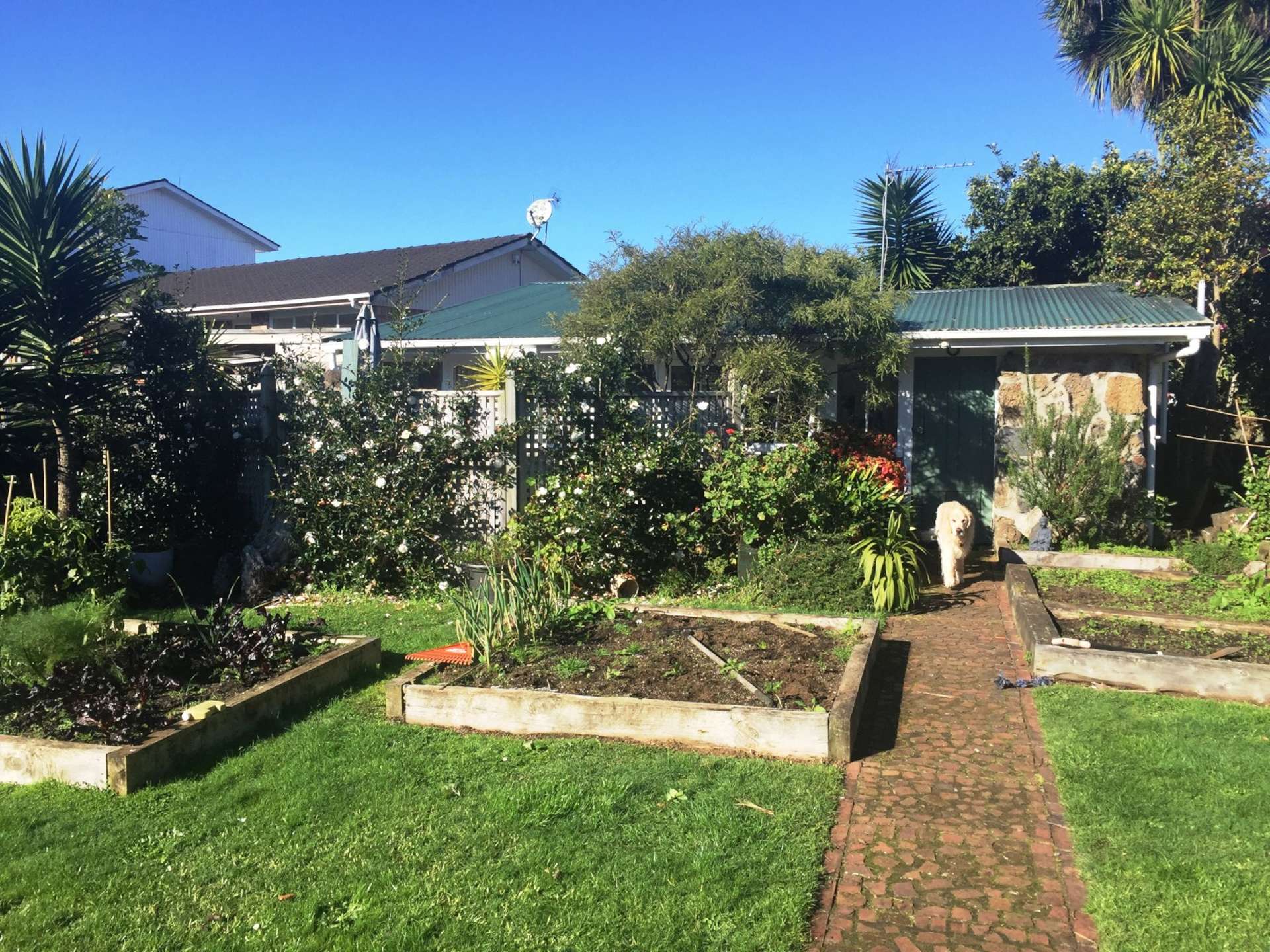 6 Fairleigh Avenue Mount Albert_0