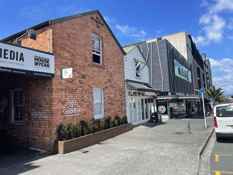 2 Williamson Avenue Grey Lynn_3