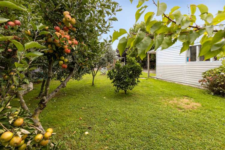 11 Frederick Street Spring Creek_30