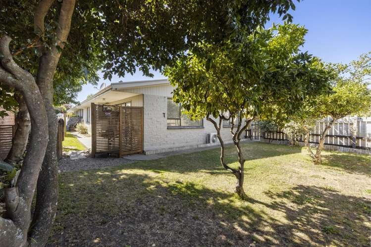 1/121 Scott Street_0