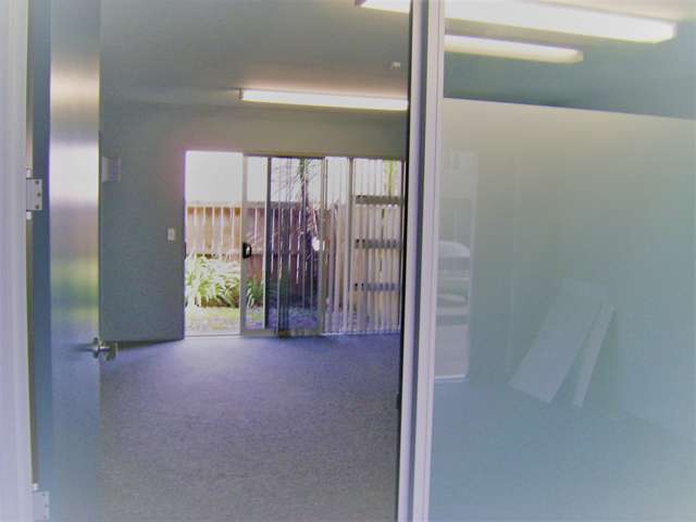 Ground Floor/241R Rosedale Road Albany_2