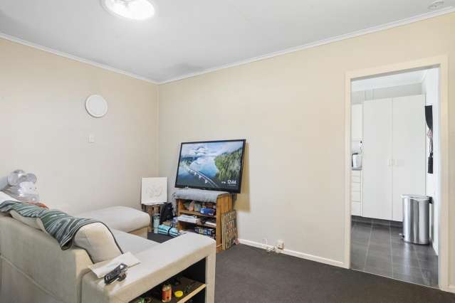 120C Firth Street Hamilton East_4