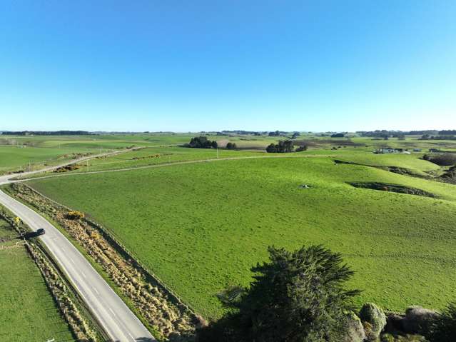 Established Dairy Grazing and Silage Unit