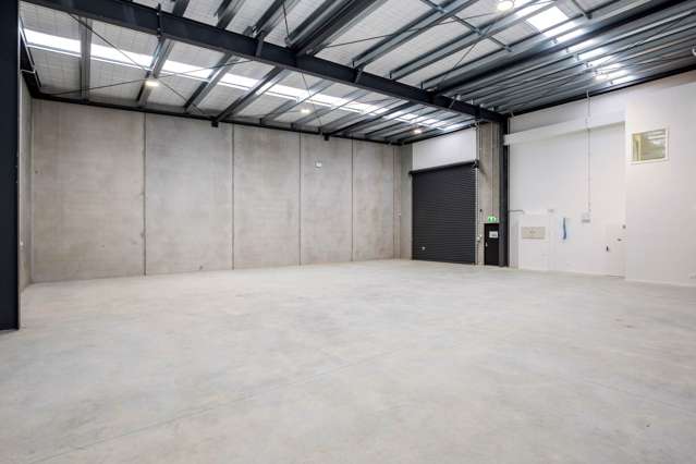 Inanga Street Hobsonville_3