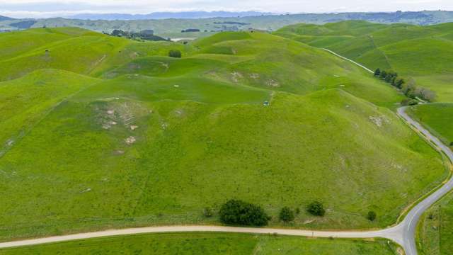 Corner Te Aute Trust Road and Aupaki Road Poukawa_2