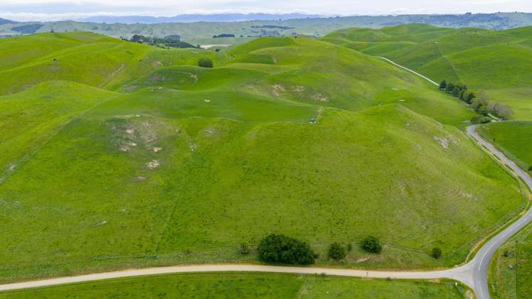 Corner Te Aute Trust Road and Aupaki Road Poukawa_2