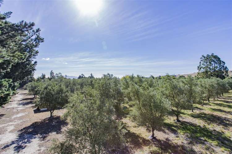 62 Courage Road Amberley_18