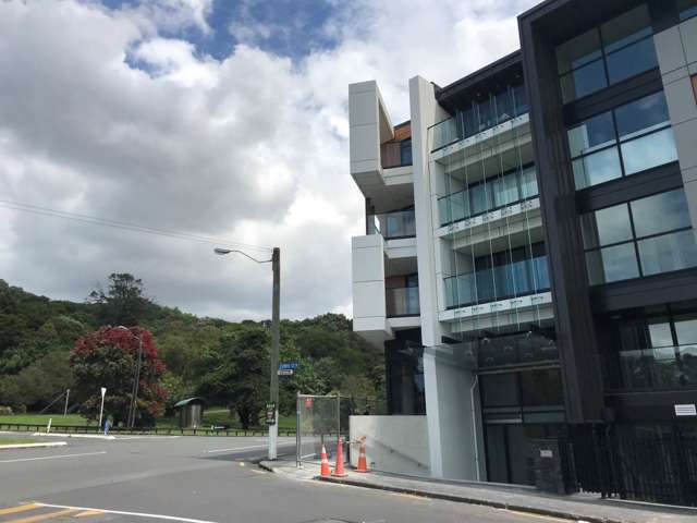 205/43 Edwin Street Mount Eden_2