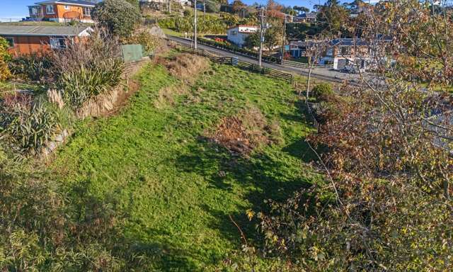 2 Kuku Street Piopio_1