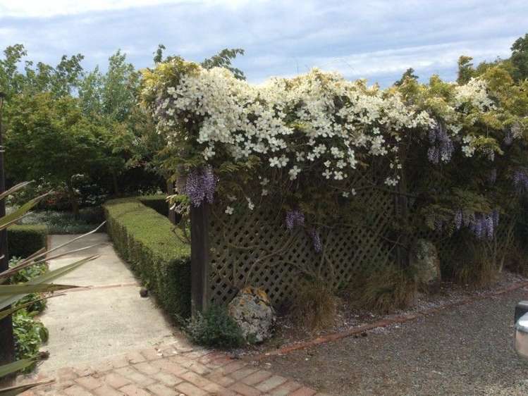 782 Miles Road Kirwee_9