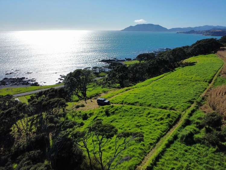 Block 10 Matapapa, State Highway 35 Waihau Bay_12