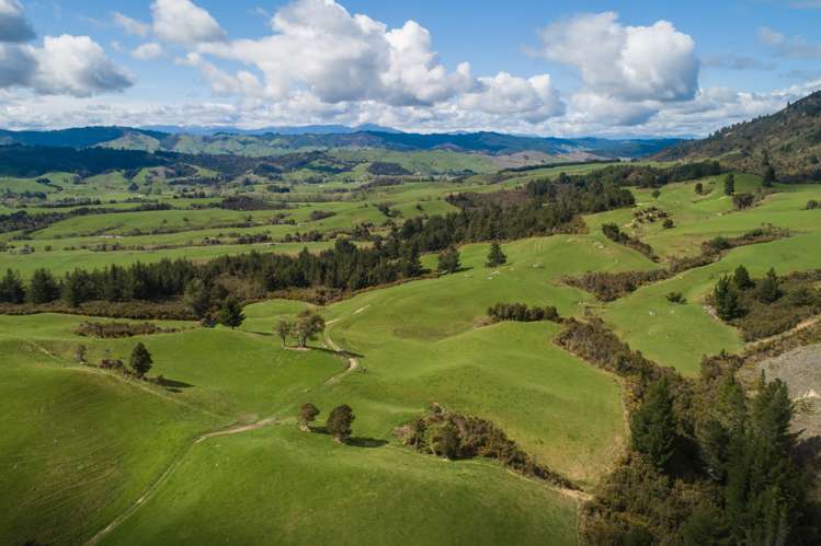 557 Tadmor-Bushend Road Tapawera_5