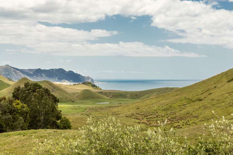 52 Waipuka Road Waimarama_24