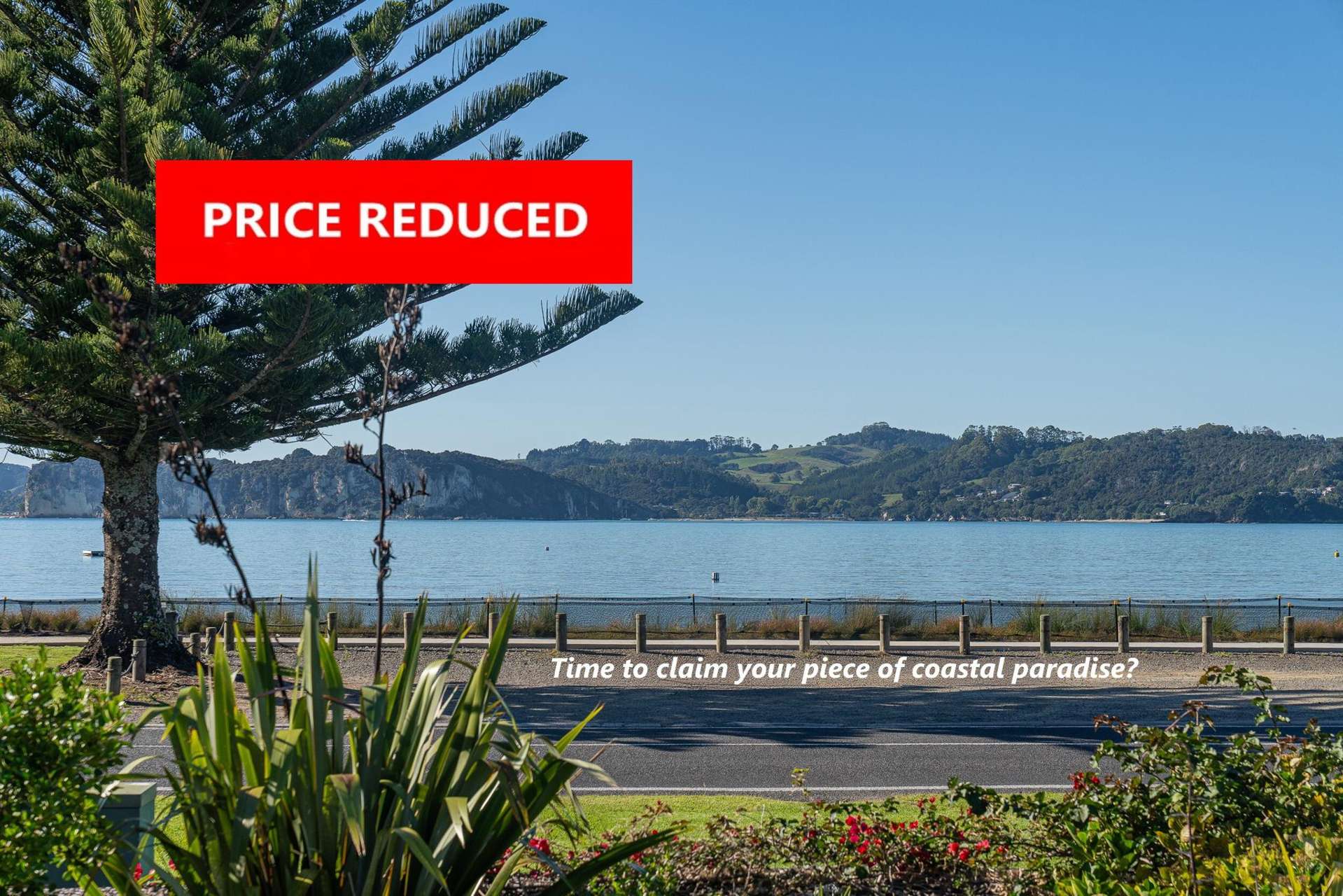 9/1 Centennial Drive Whitianga_0