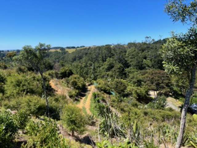 LOT 8/225 Awhitu Central Road Awhitu_1