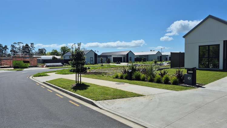 5 Mataikokako Loop_4