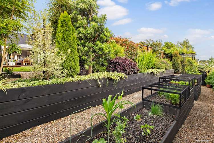 27 Stockyard Crescent Pukekohe_16