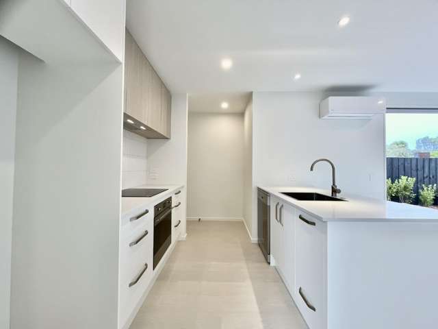 51 Laurence Street 1572_2