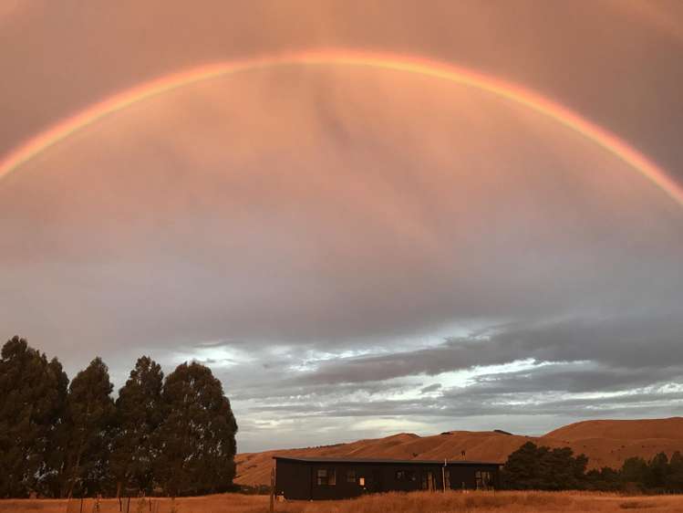 115 D Ruakokoputuna Road, Ruakokoputuna Martinborough_22