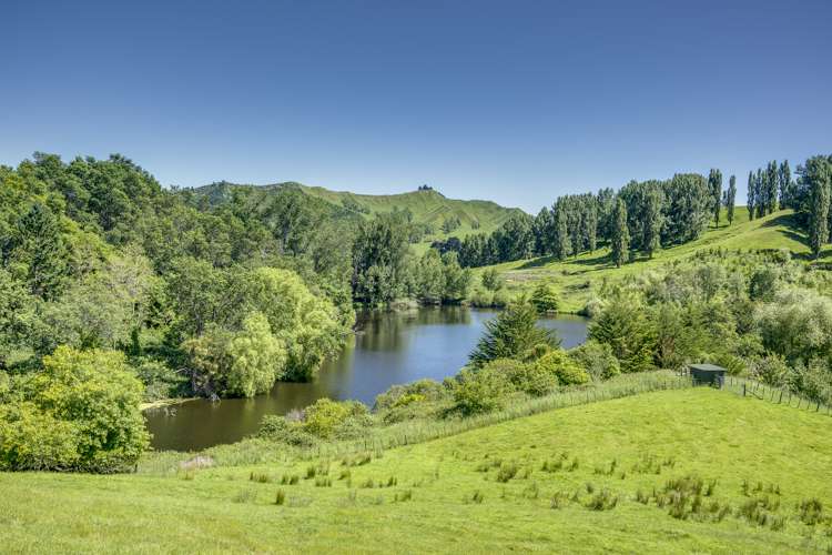 2412 Kahuranaki Road Elsthorpe_10