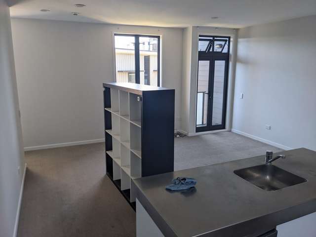 15 Mary Street Mount Eden_4