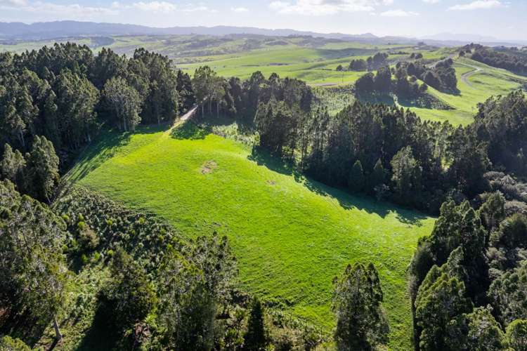 Lots1-7/450 Lawrence Road Mangawhai_20