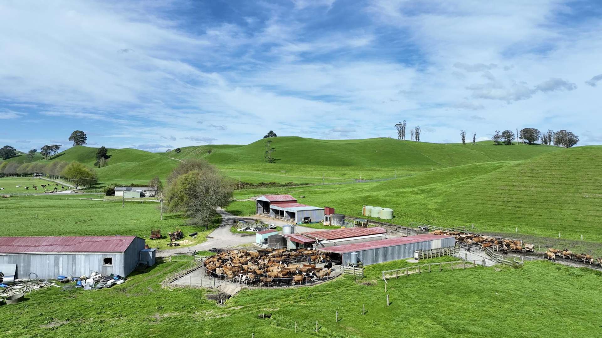 62 Rehi Road Ngakuru_0