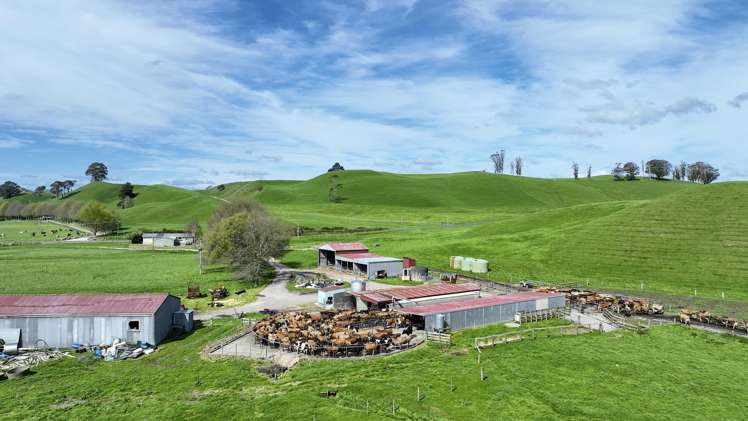 62 Rehi Road Ngakuru_0