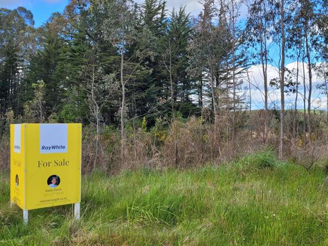 200 Nightcaps Ohai Highway Ohai_1