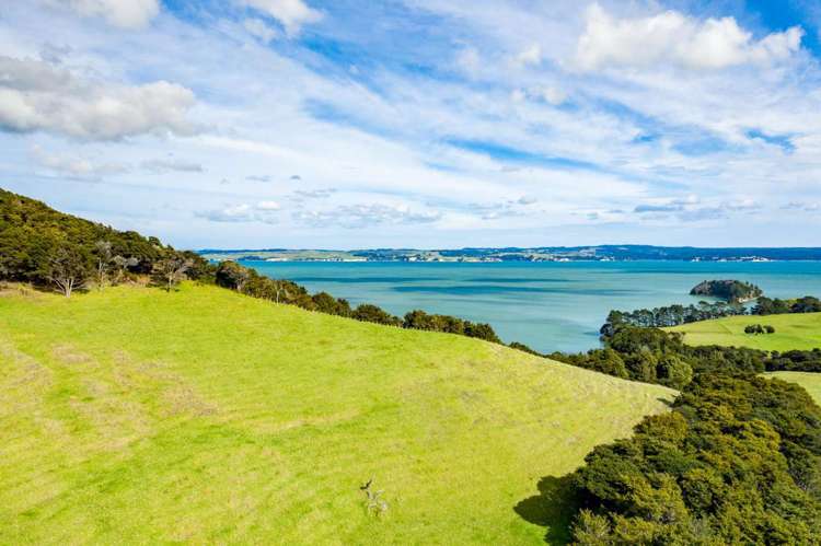 1188e Tinopai Road Tinopai_5