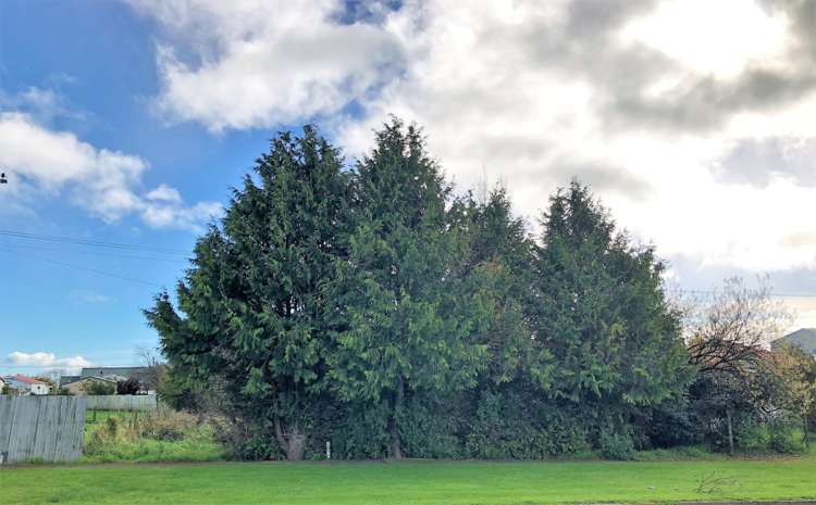 11 Grand Street Shannon_6