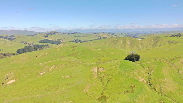 207 Mangatuna Road Weber_8