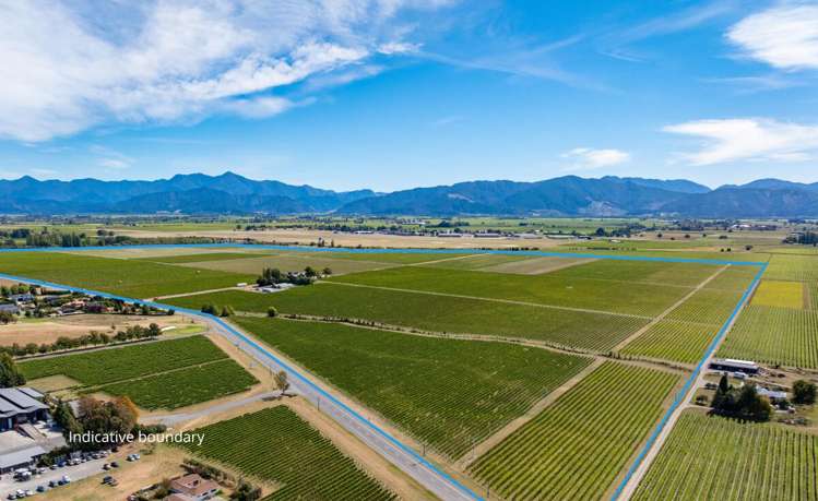 1 Wairau Plains Renwick_16