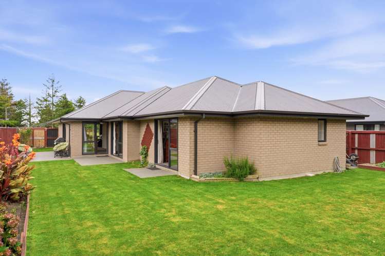 16 Pallid Green Rolleston_16