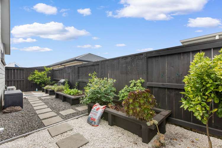 9 Pimelea Street Papamoa_12