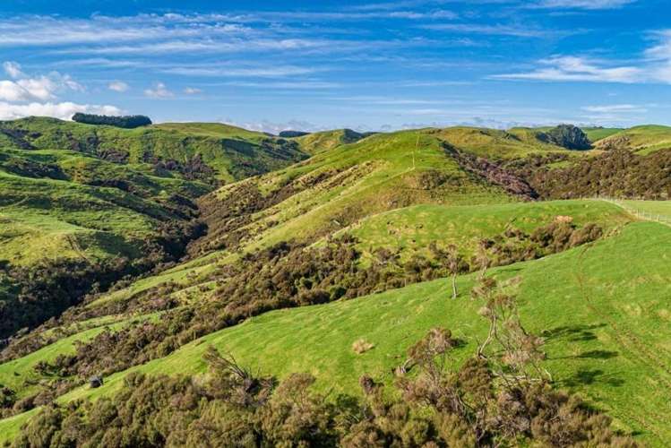 134 Bowen Road Eketahuna_5