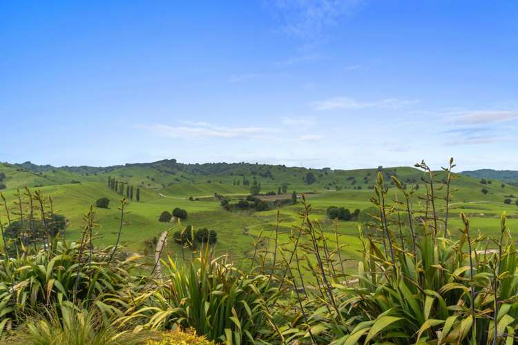 560 Hikumutu Road Taumarunui_23
