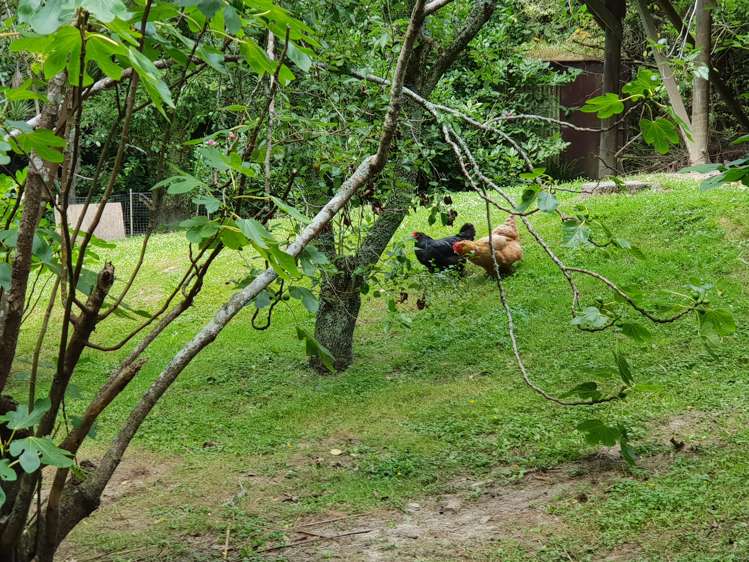 2/52b Pleasant Road Glen Eden_11