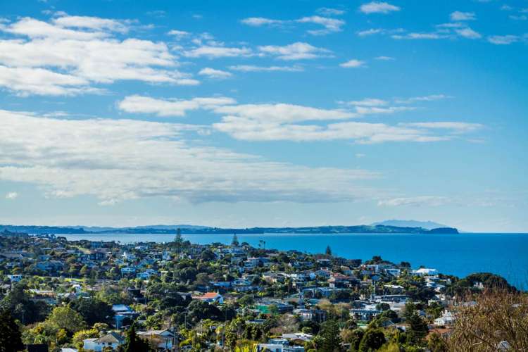 163b Kowhai Road Mairangi Bay_77