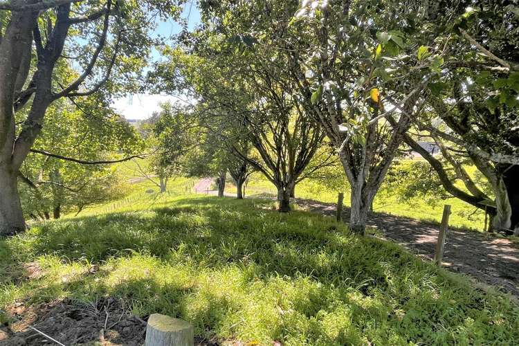 576a Mangawhero Road Otorohanga_21