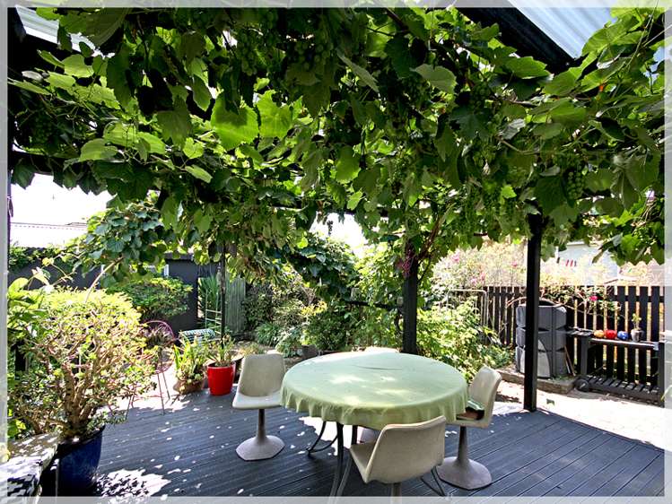 40 Cambridge Street Levin_11