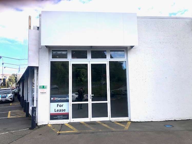 149 Johnsonville Road Johnsonville_1