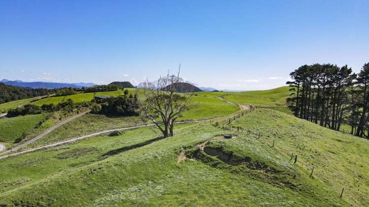 1158a Waihi-Whangamata Road Waihi_2