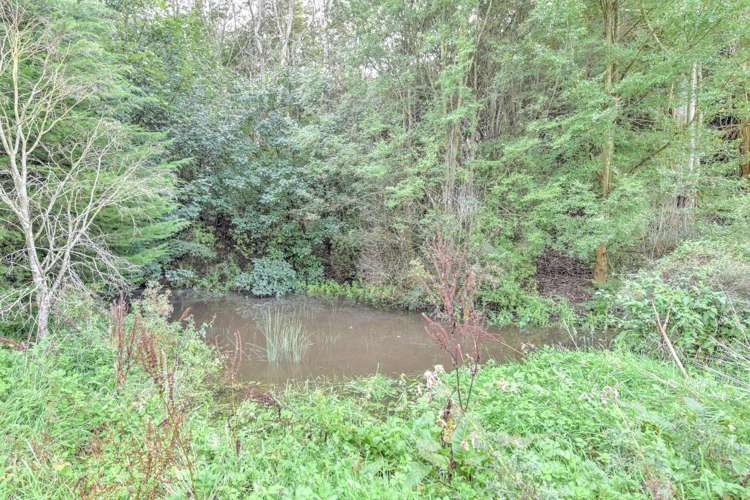 28 Mandeville Road Winton Surrounds_20