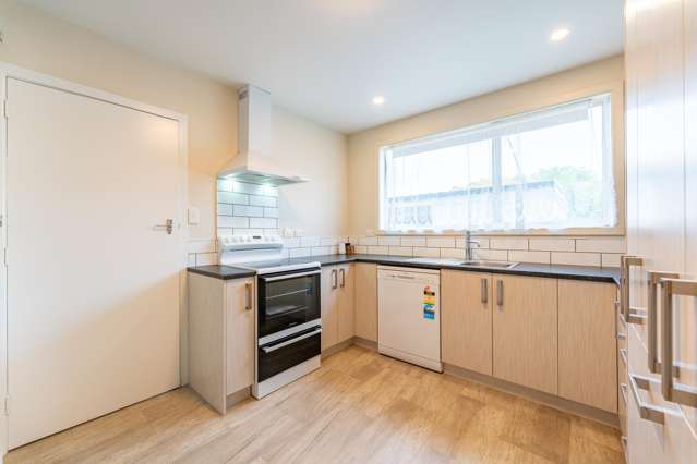 4a Roxburgh Street Timaru_2