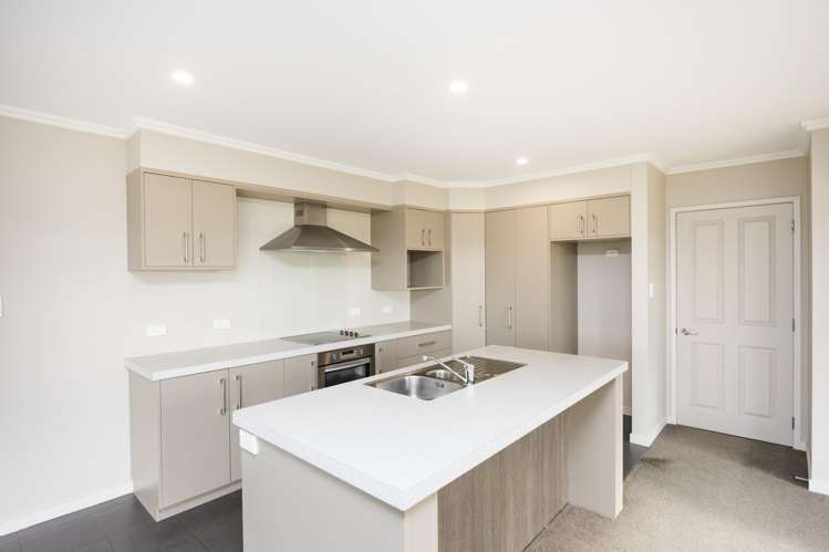 225 Makara Road Halcombe_5