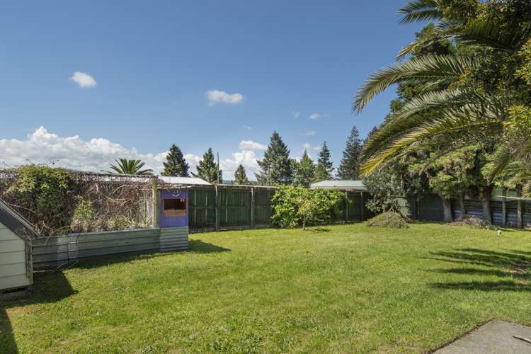 861 State Highway 29 Tauriko_19